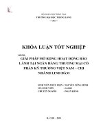 Giải pháp mở rộng hoạt động bảo lãnh tại ngân hàng thương mại cổ phần kỹ thương việt nam chi nhánh linh đàm (Khóa luận tốt nghiệp)