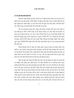 Thuế giá trị gia tăng và thực tiễn áp dụng tại công ty bánh kẹo hải hà