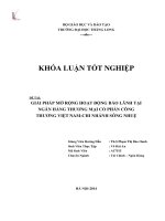 Giải pháp mở rộng hoạt động bảo lãnh tại ngân hàng thương mại cổ phần công thương Việt Nam chi nhánh Sông Nhuệ (Khóa luận tốt nghiệp)