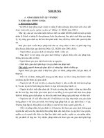 Đề tài giao dịch dân sự vô hiệu   một số vấn đề lý luận và thực tiễn   luận văn, đồ án, đề tài tốt nghiệp 