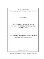 Phân tích hiệu quả kinh doanh của Công ty Cổ phần kim loại màu Thái Nguyên (LV thạc sĩ)