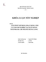 Giải pháp mở rộng hoạt động cho vay doanh nghiệp tại ngân hàng vietinbank chi nhánh thăng long (Khóa luận tốt nghiệp)