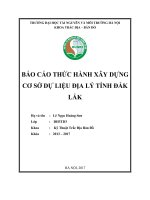 BÁO CÁO THỨC HÀNH XÂY DỰNG CƠ SỞ DỰ LIỆU ĐỊA LÝ TỈNH ĐẮK LẮK