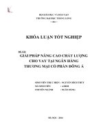 Giải pháp nâng cao chất lượng cho vay tại ngân hàng thương mại cổ phần đông á (Khóa luận tốt nghiệp)