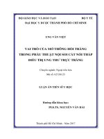 VAI TRÒ CỦA MỞ THÔNG HỒI TRÀNG TRONG PHẪU THUẬT NỘI SOI CẮT NỐI THẤP ĐIỀU TRỊ UNG THƯ TRỰC TRÀNG