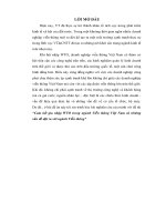 Cam kết gia nhập WTO trong ngành viễn thông việt nam và những vấn đề đặt ra với ngành viễn thông