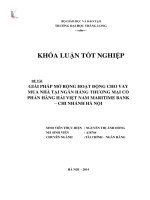 Giải pháp mở rộng hoạt động cho vay mua nhà tại ngân hàng thương mại cổ phần hàng hải việt nam maritime bank chi nhánh hà nội (Khóa luận tốt nghiệp)