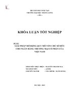Giải pháp mở rộng quy mô vốn chủ sở hữu cho ngân hàng thương mại cổ phần của Việt Nam (Khóa luận tốt nghiệp)