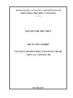 ỨNG DỤNG MÔ HÌNH MIKE 21 ĐÁNH GIÁ CHẾ ĐỘ  THUỶ LỰC VỊNH BẮC BỘ