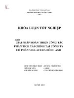 Giải pháp hoàn thiện công tác phân tích tài chính tại công ty cổ phần viglacera đông anh (Khóa luận tốt nghiệp)