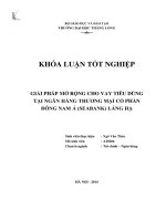 Giải pháp mở rộng cho vay tiêu dùng tại ngân hàng thương mại cổ phần Đông Nam Á (sea bank) Láng hạ (Khóa luận tốt nghiệp)