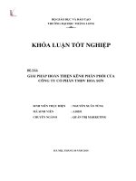 Giải pháp hoàn thiện kênh phân phối của công ty cổ phần thương mại dịch vụ Hoa sơn (Khóa luận tốt nghiệp)