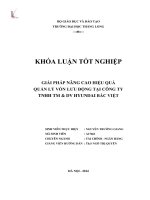 Giải pháp nâng cao hiệu quả quản lý vốn lưu động tại công ty tnhh thương mại và dịch vụ hyundai bắc việt (Khóa luận tốt nghiệp)