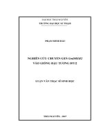 Nghiên cứu chuyển gen GmDREB2 vào giống đậu tương đt12 (LV thạc sĩ)
