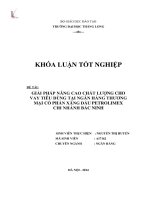 Giải pháp nâng cao chất lượng cho vay tiêu dùng tại ngân hàng thương mại cổ phần xăng dầu Petrolimex chi nhánh Bắc Ninh (Khóa luận tốt nghiệp)