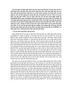 Đề tài nội dung và kiến nghị đối với các quy định về biện pháp khẩn cấp tạm thời trong tố tụng dân sự   luận văn, đồ án, đề tài tốt nghiệp 