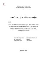 Giải pháp nâng cao hiệu quả huy động vốn tại ngân hàng nông nghiệp và phát triển nông thôn chi nhánh huyện Vân Đồn tỉnh Quảng Ninh (Khóa luận tốt nghiệp)