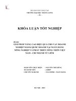 Giải pháp nâng cao hiệu quả cho vay doanh nghiệp ngoài quốc doanh tại ngân hàng nông nghiệp và phát triển nông thôn Việt Nam chi nhánh Từ Liêm (Khóa luận tốt nghiệp)