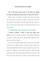 đáp án bài tập học kỳ lao động 