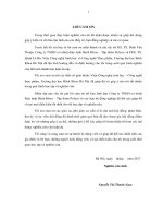 Nghiên cứu xác lập điều kiện và giải pháp công nghệ tối ưu cho quá trình thủy phân protein bã nấm men bia nhằm ứng dụng trong công nghiệp thực phẩm 