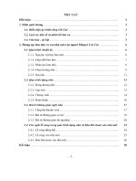 Lễ dựng nhà và vào nhà mới của người mông ở thôn cát cát  huyện sa pa tỉnh lào cai