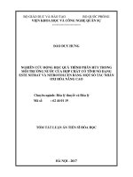 Nghiên cứu động học quá trình phân hủy trong môi trường nước của hợp chất có tính nổ dạng este nitrat và nitrotoluen bằng một số tác nhân oxi hóa nâng cao (tóm tắt)