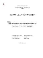 Giải pháp nâng cao hiệu quả kinh doanh tại công ty cổ phần gia phát (khóa luận tốt nghiệp)
