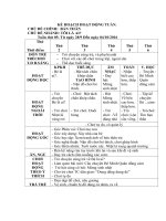 Kế hoạch hay giáo án  tuần chủ đề bản thân