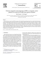 CS-fe3o4 removal of Fe(III) from aqueous solutions