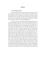 Đề tài những vấn đề cơ bản về trách nhiệm bồi thường thiệt hại ngoài hợp đồng trong bộ luật dân sự, luận văn tốt nghiệp đại học, thạc sĩ, đồ án,tiểu luận tốt nghiệp 