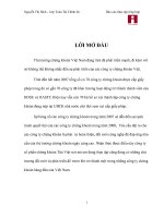 Báo cáo Thực tập tổng hợp tại công ty cổ phần chứng khoán Tân Việt