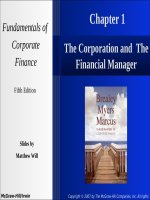 Fundamental of corpoarte finance 4th mathew will chapter 1 