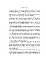 Tiểu luận Thực trạng cơ cấu đầu tư ở Việt Nam: Hạn chế và các giải pháp khắc phục