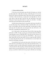 Nội dung cơ bản các quy định về đấu thầu mua sắm hàng hoá quốc tế hiện nay, luận văn tốt nghiệp đại học, thạc sĩ, đồ án,tiểu luận tốt nghiệp 