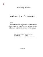 Giải pháp nâng cao hiệu quả sử dụng vốn lưu động tại công ty trách nhiệm hữu hạn một thành viên cường đạt (Khóa luận tốt nghiệp)