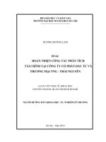 Hoàn thiện công tác phân tích tài chính tại công ty cổ phần đầu tư và thương mại TNG   thái nguyên 