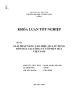 Giải pháp nâng cao hiệu quả sử dụng đòn bẩy tại công ty cổ phần DCA Việt Nam (Khóa luận tốt nghiệp)