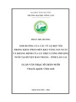 Ảnh hưởng của các tỷ lệ bột tỏi trong khẩu phần đến khả năng sản xuất và kháng bệnh của gà thịt lương phượng nuôi tại huyện bảo thắng   tỉnh lào cai 