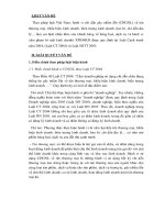 Pháp luật việt nam về chỉ dẫn gây nhầm lẫn, xâm phạm bí mật kinh doanh và thực tiễn thực hiện, luận văn tốt nghiệp đại học, thạc sĩ, đồ án,tiểu luận tốt nghiệp 