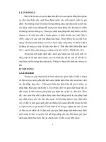 Đề tài một số vấn đề về mua bán căn hộ trong nhà chung cư, lí luận và thực tiễn hiện nay trong xã hội, luận văn tốt nghiệp đại học, thạc sĩ, đồ án,tiểu luận tốt nghiệp 