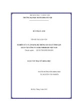 Nghiên cứu và áp dụng hệ thống sản xuất tinh gọn lean vào công ty schlumberger việt nam 