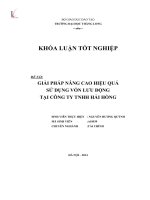 Giải pháp nâng cao hiệu quả sử dụng vốn lưu động tại công ty TNHH Hải Hồng (Khóa luận tốt nghiệp)
