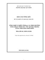 TỔNG HỢP VÀ BIẾN TÍNH gC3N4 THEO HƯỚNG TĂNG HOẠT TÍNH XÚC TÁC QUANG TRONG VÙNG ÁNH SÁNG KHẢ KIẾN