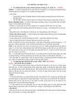 Tài liệu ôn tập tin văn phòng 2