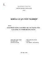 Giải pháp nâng cao hiệu quả sử dụng vốn tại công ty TNHH Hoàng Ngân (Khóa luận tốt nghiệp)
