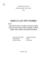Giải pháp nâng cao khả năng huy động vốn tại Ngân hàng nông nghiệp và phát triển nông thôn chi nhánh Mỹ đình (Khóa luận tốt nghiệp)
