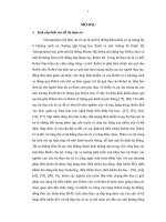 Phương pháp tổng hợp các bộ điều khiển cho hệ thao tác từ xa một chủ một tớ (Teleoperation-SMSS)