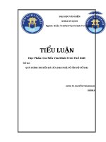 BÀI TIỂU LUẬN CÁC NỀN VĂN MINH TRÊN THẾ GIỚI