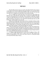 Báo cáo thực tập tổng hợp tại công ty bê tông và vật liệu xây dựng thịnh liệt 