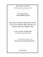 Phân tích và đánh giá hiệu quả dự án đầu tư sản xuất ethanol nhiên liệu khu vực phía bắc công suất 100 000 m3năm 